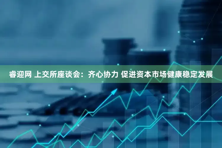 睿迎网 上交所座谈会：齐心协力 促进资本市场健康稳定发展