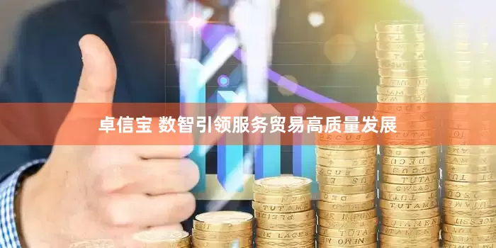 卓信宝 数智引领服务贸易高质量发展