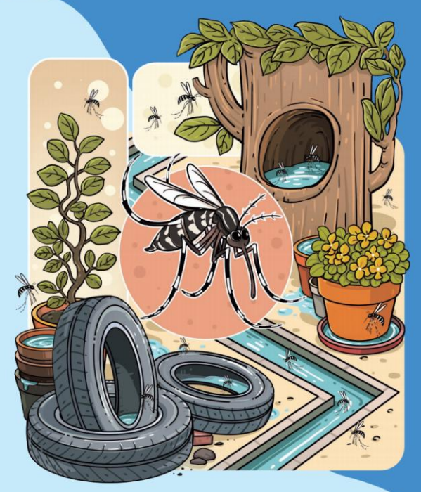 乐发 家里这些地方最易长蚊子！积水清理一步一步教你做